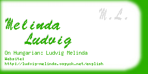 melinda ludvig business card